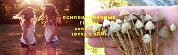 ECSTASY Заводоуковск