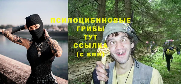 ECSTASY Заводоуковск