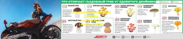 индика Заволжск