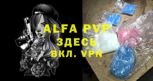 индика Заволжск
