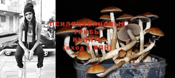стаф Заволжье