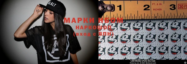 индика Заволжск