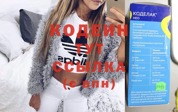 индика Заволжск
