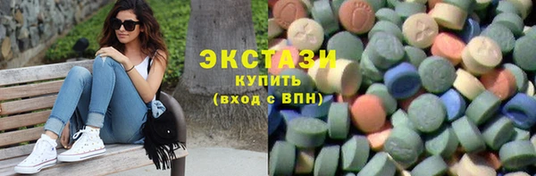 индика Заволжск