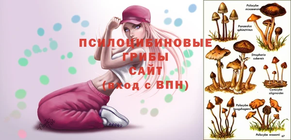 стаф Заволжье