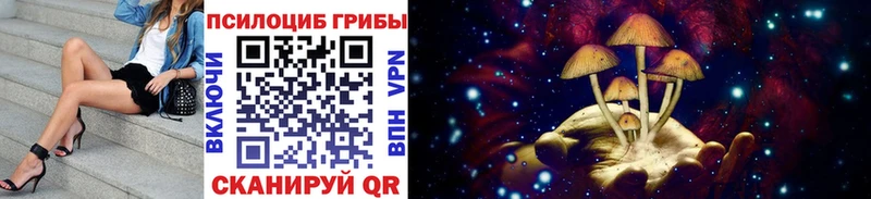 Галлюциногенные грибы ЛСД  Купить  Кологрив 