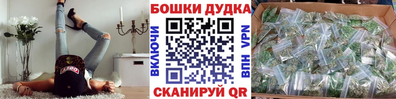 Шишки марихуана OG Kush  Купить где  Кологрив 